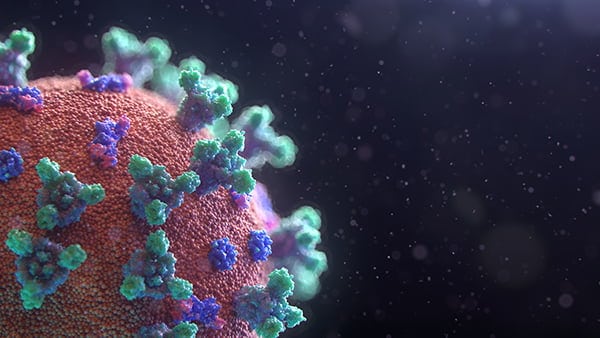 Coronavirus Virus Close-Up
